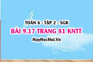 Bài 9.17 trang 81 Toán 6 Tập 2 Kết nối tri thức